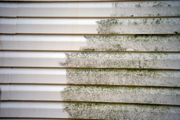 Siding for Commercial Buildings in Absecon, NJ