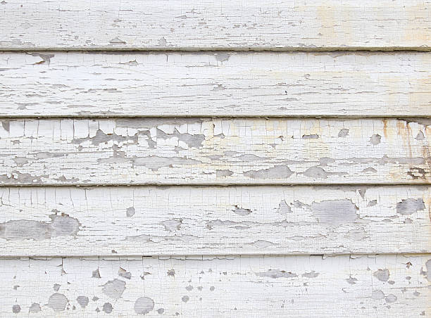Best Residential Vinyl Siding Installation  in Absecon, NJ