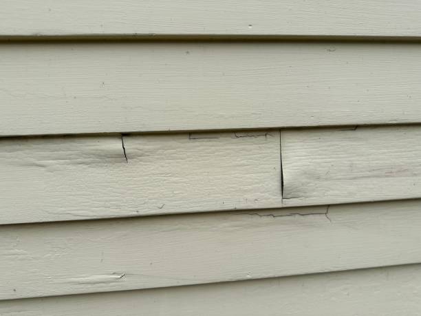 Best Fiber Cement Siding Installation  in Absecon, NJ